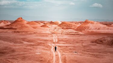 1st place - On my way (Category: The Great Indoors & Outdoors)