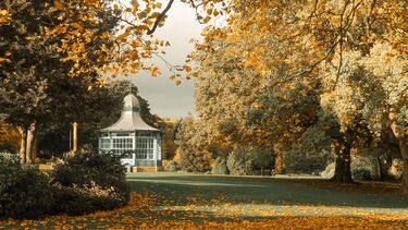 2nd place - Better late than never (Category: The Great Indoors & Outdoors)