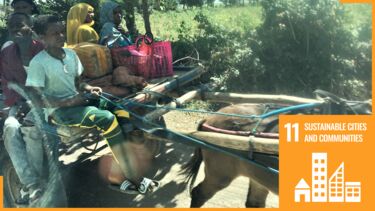 Migration, Urbanisation and Conflict in Africa