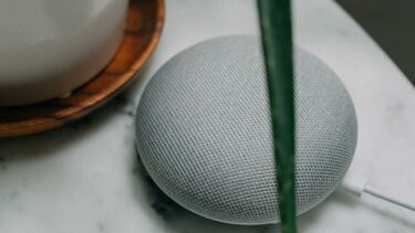 An AI assistant on a table with plant pot