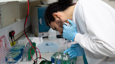 Student in the lab