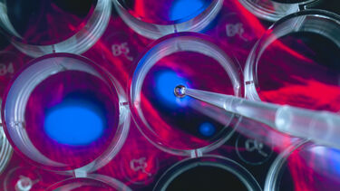 Scientist pipetting cells into a multi well plate