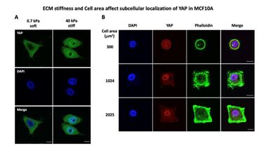 Kai Erdmann - Research Image 1