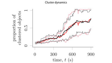 Cluster dynamics graph