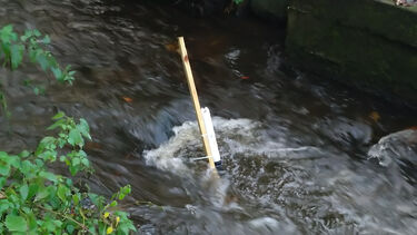 Cyclops fluorometer in Porter Brook
