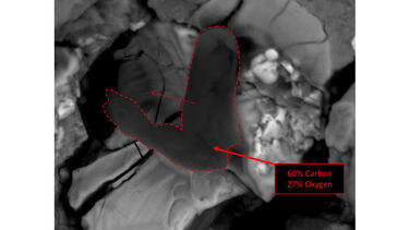 This 'Alien' in a Martian meteorite was actually just a piece of dust!