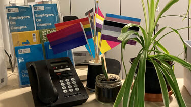 Pride flags in the Sir Robert Hadfield Building