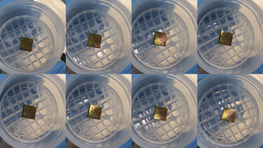 Glass squares used in dissolution experiments