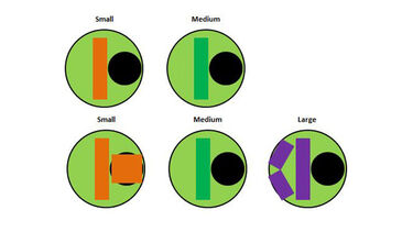 Markers E1-11