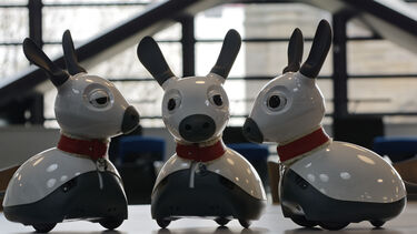 Three MiRo robots - two either side looking inward at one in the centre