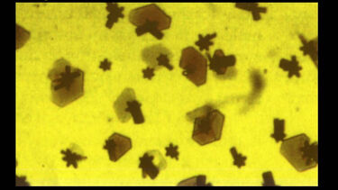 Crystals of Buckminsterfullerene obtained by Kraetschmer and co-workers