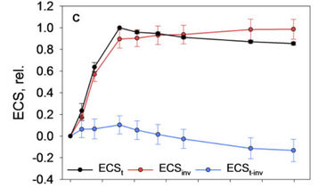 PMF components in plant leaves