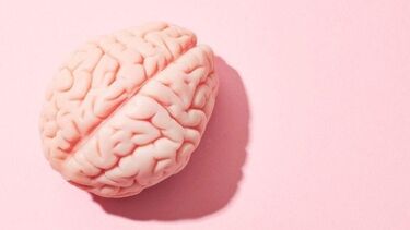 Image of a brain with a pink backgroung