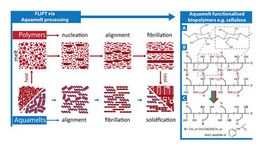 Proposed aquamelt pathway