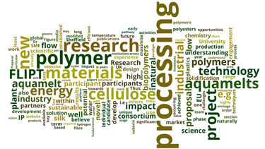 A word map of the FLIPT proposal.