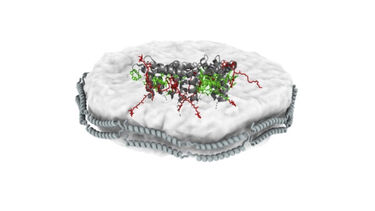 LHCII in a lipid nanodisc