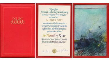 Harry Kroto's nobel citation
