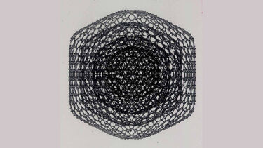 Onion shell simulation