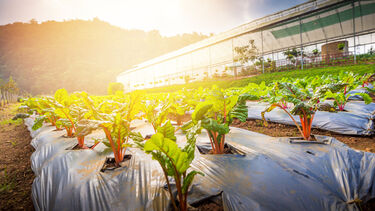 PhotoRedesign Project