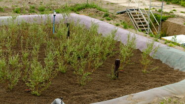 A site visit as part of the Advocate workshop