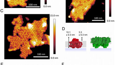 Organisation of PSI under Far-red light