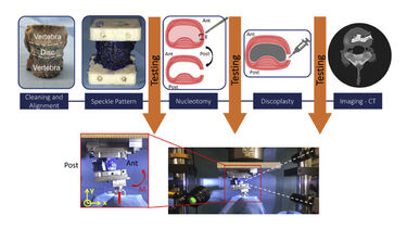 Experimental workflow of the study.