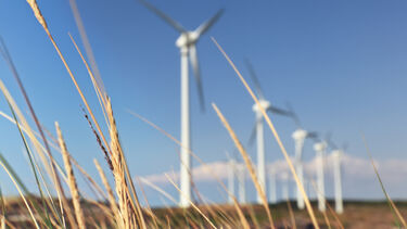 Windmills with dry grass in the forefront