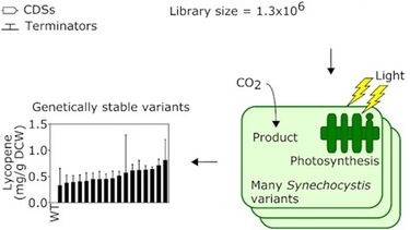 New assembly platform