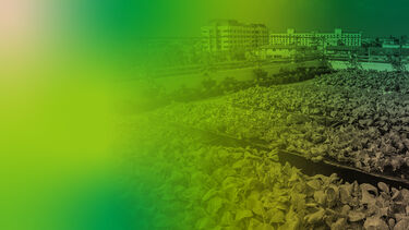 An urban farm is shown growing leafy greens. 