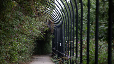 UI - Our collective response - path through trees - Andy Brown