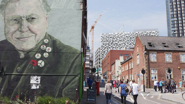 Street art of David Attenborough in Sheffield