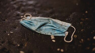 UI - Writing - Bio-austerity part two