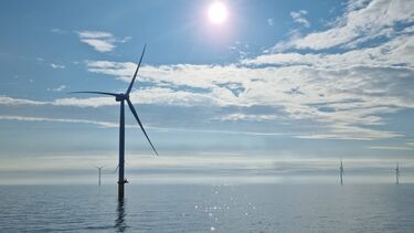 Hannah Taylor-Clague