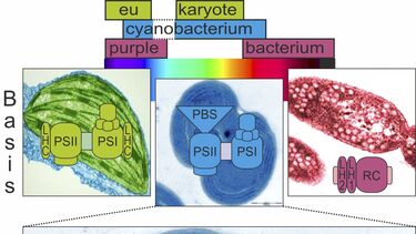 PhotoRedesign Project