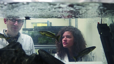 Students & Fish tank