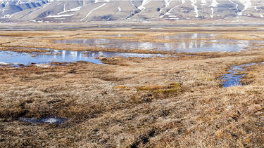 Pools of water in flat scrub and distant mountains