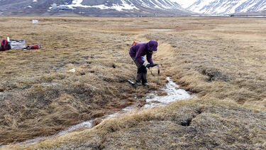 Person taking measurements in stream
