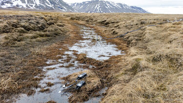 Shallow grassy river with mountains behind