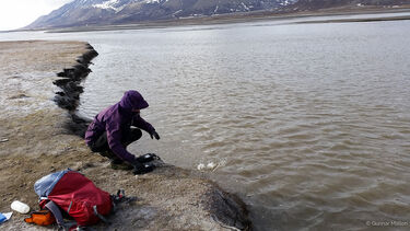 Person crouching on bank to take river sample