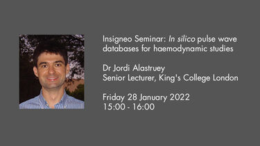 Insigneo Seminar graphic Alastruey talk details