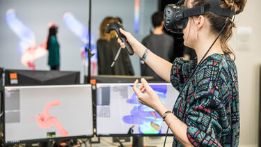 Student uses virtual reality to explore the vascular system