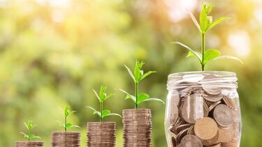 Four stacks of coins in a row beside a pot of coins. On top of each stack and pot is a small plant growing.