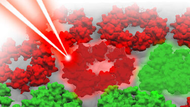 Quantum effects in photosynthesis