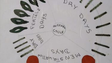 GSD - Projects - Infertility in The Gambia