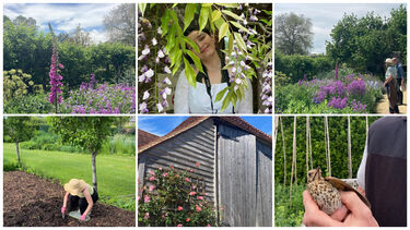 Check out more of Laurie's images from Sullington Rectory on her Instagram account @landscape.laurie