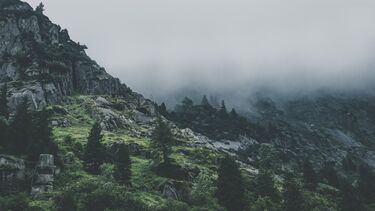 GSD - Event - The Legacy of Menla