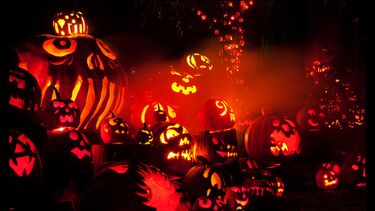 A gathering of carved illuminated pumpkins
