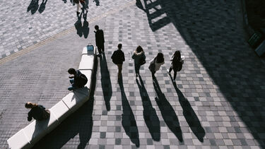 EDU Pedagogy and Policy shadows