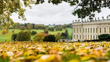Chatsworth house grounds