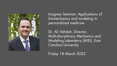 Insigneo Seminar graphic with event details